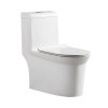 High quality Modern Silent and deodorizing one piece water closet toilets