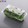 PLA Pet Vegetable Lettuce Herbs Clamshell Packaging Container