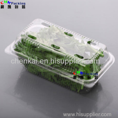 PLA Pet Vegetable Lettuce Herbs Clamshell Packaging Container