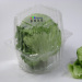 Lettuce Packaging Lettuce Packaging Lettuce Blister Clamshell Packaging for Living Lettuce