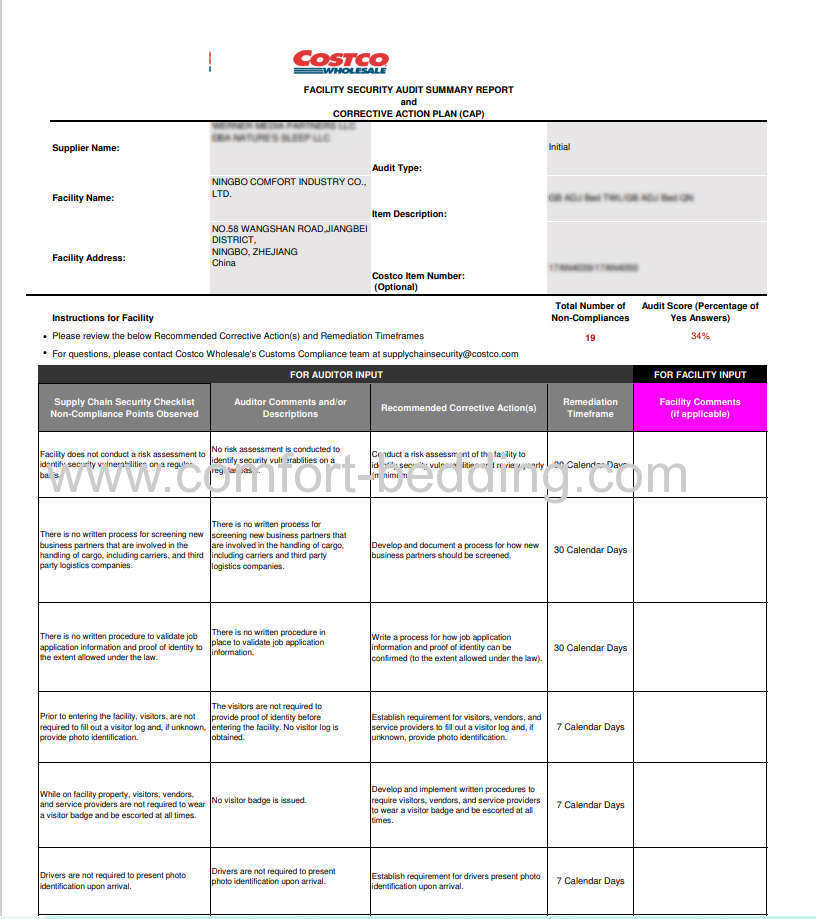 Costco Audit Report