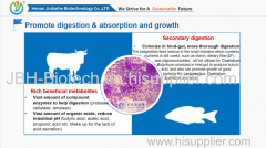 probiotic feed additives Clostridium butyricum