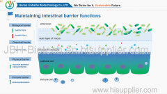 probiotic feed additives Clostridium butyricum