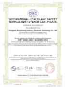 ISO45001