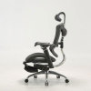 Sihoo M97B High Back Mesh Ergonomi Chair with Comfortable Headrest and Back Support