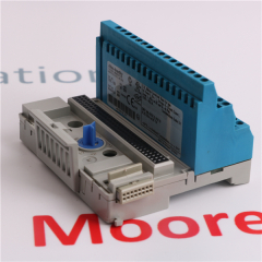 T8480 C 24Vdc Digital Input Module