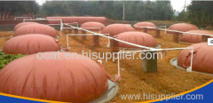 King Bofulee Red Mud household biogas digester plant