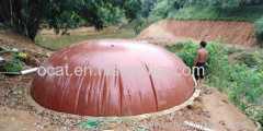 King Bofulee Red Mud household biogas digester plant