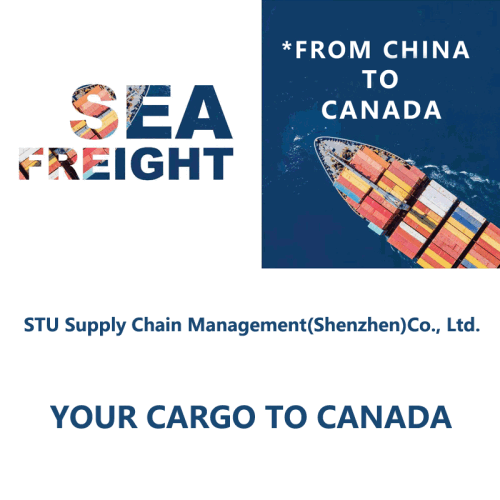 China Freight Forwarding Sea Shipping to Canada by FCL/LCL Shipments