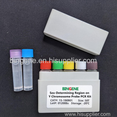 Sex-Determining Region on Y Chromosome Probe PCR Kit