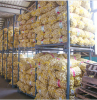 Leno For Sale Heavy Duty Bottom Sewing Mono Packing Garlic Mesh Bag 35kg Capacity Customized Logo Mono Bags