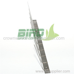 Stainless Steel Bird Spikes