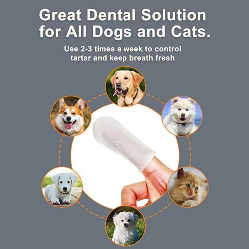 Dental Wipes for Dogs and Cats
