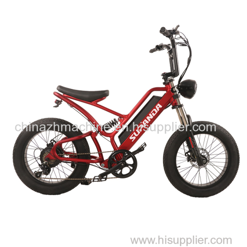 Hot Selling E-bike 20 Inch Electric Bicycle Wholesale Wholesale Electric Bicycles