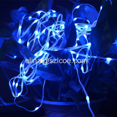 Christmas Lights WS2812B RGB Dream Color Addressable Led Fairy String Light Set DC5V USB Powered