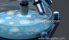 certified mold testing product