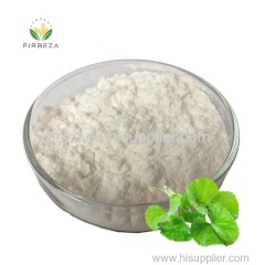 Factory Price Organic Centella Asiatica Extract Gotu Kola Extract 90% Asiaticoside Powder