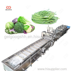 Fully Automatic Gelgoog Fruit and Vegetable Washing and Drying Machine