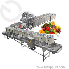 Fully Automatic Gelgoog Fruit and Vegetable Washing and Drying Machine