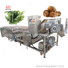 Fully Automatic Gelgoog Fruit and Vegetable Washing and Drying Machine