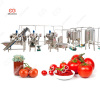 Gelgoog 500kg/h Tomato Ketchup Production Line Tomato Paste Making Machine