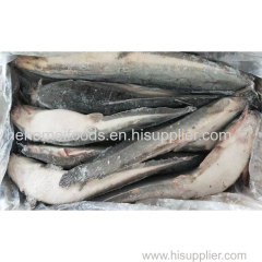 Frozen Fresh Whole Round Catfish Fish