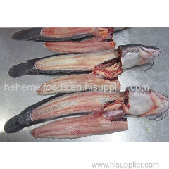 Frozen Fresh Whole Round Catfish Fish