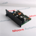 IS200BPVCG1BR1 Analog Output Module