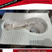 SMC Toilet Seat Mould