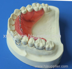 Digital CAD CAM Dental Lab Crowns Translucent Layered Zirconia Crown