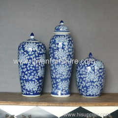 blue and white porcelain ginger jars