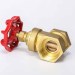 DN20 1-1/2" Brass Gate Valve - 200wog & 125wsp for Water Oil Gas Steam Fxf NPT