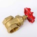 DN20 1-1/2" Brass Gate Valve - 200wog & 125wsp for Water Oil Gas Steam Fxf NPT