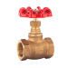 1/2 - 4 Inch Brass Stem Gate Globe Valve with Aluminum Handwheel