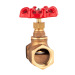 1/2 - 4 Inch Brass Stem Gate Globe Valve with Aluminum Handwheel