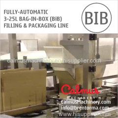 Fully-automatic Bag in Box Filling Packaging Line