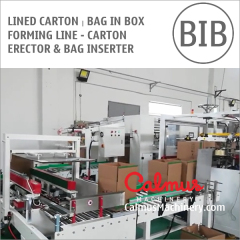 Carton Erector and Bag Inserter for Forming Lined Box