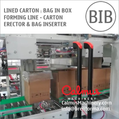 Carton Erector and Bag Inserter for Forming Lined Box
