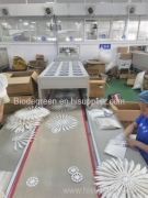 Shenzhen Bio Plastic Technology Co., Ltd
