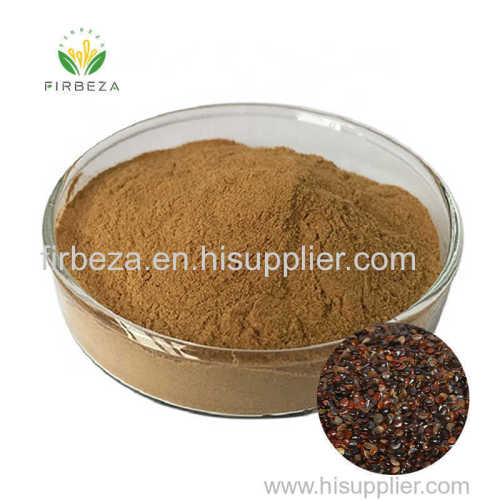 High Quality 10:1 Hovenia Dulcis Seed Extract Powder With Best Price