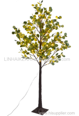 Eucalyptus leaves tree light