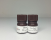 Penicillinase Zhuhai Gene-Biocon Biological Technology