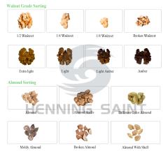 Henning Saint nut color sorter