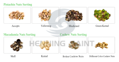 Henning Saint nut color sorter