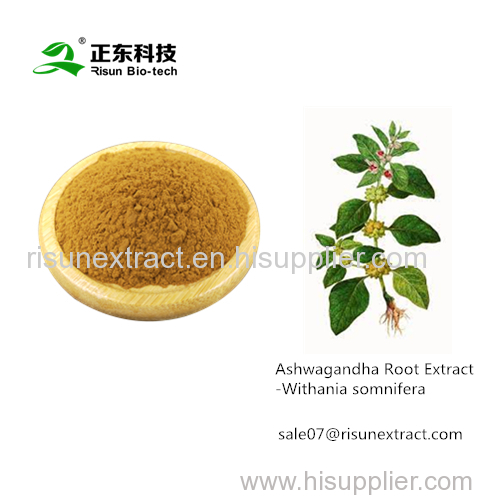 Ashwagandha Root Extract [ Withania somnifera ]- withanolides