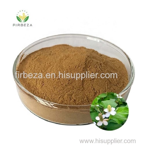 Natural 10:1 Houttuynia Cordata Herba Houttuyniae Extract Powder