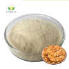 High Quality Wholesale Bulk Organic Pumpkin Seed Extract Pumpkin Seed Protein Powder