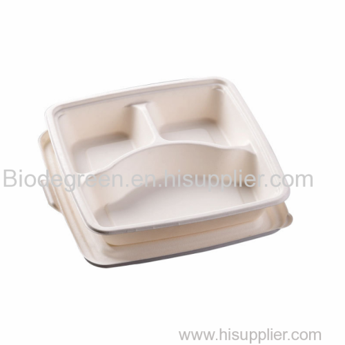 Compartment Fast Food Box