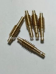 Small module brass worm