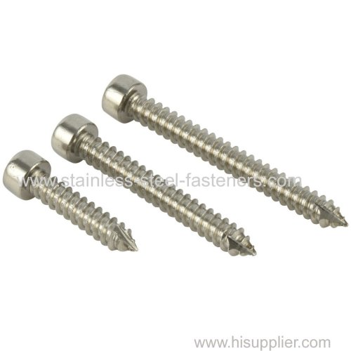 Stainless Steel 304 Hexagon Socket Allen Head Black Self-Tapping Screws